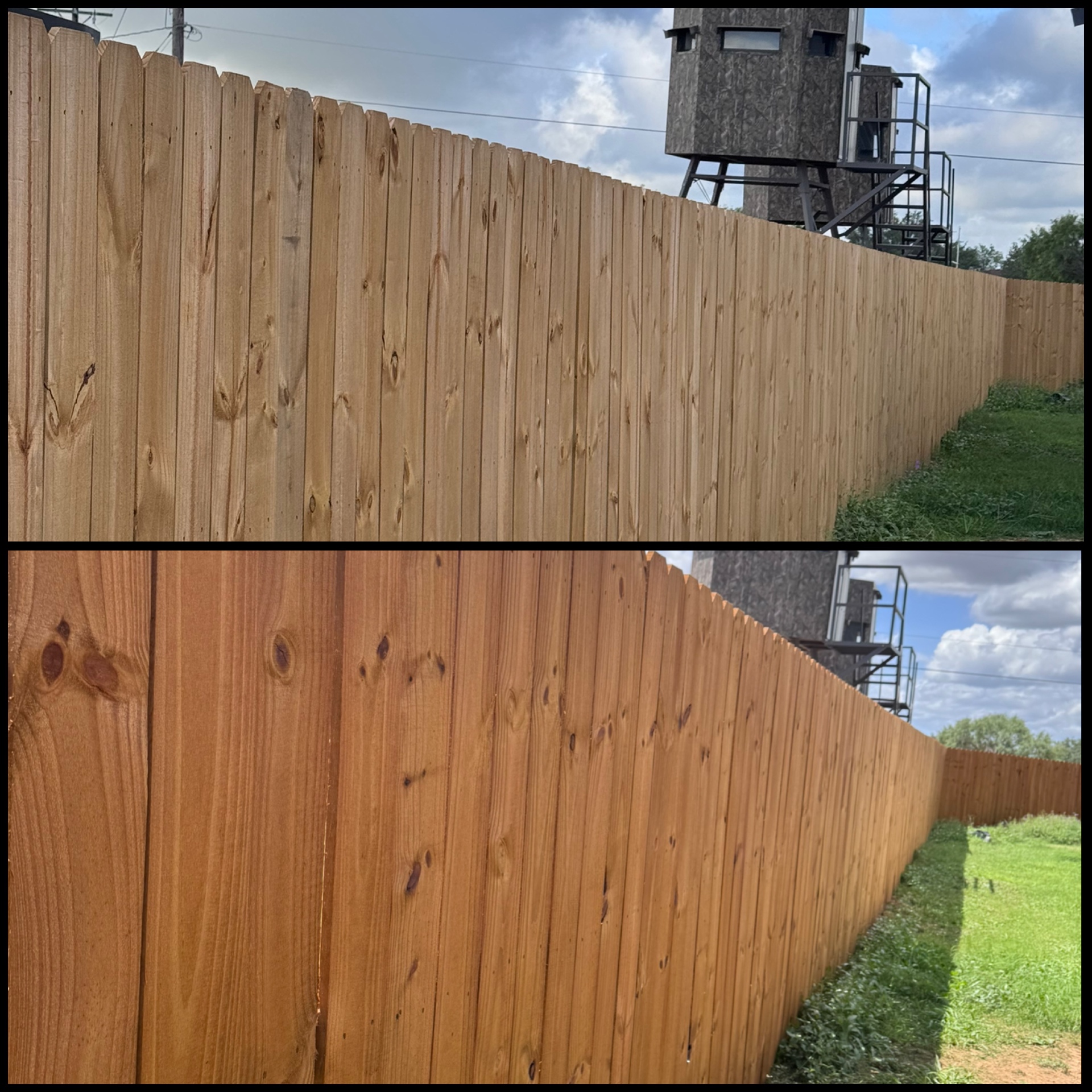 Long stretch of privacy fence before and after warm cedar stain