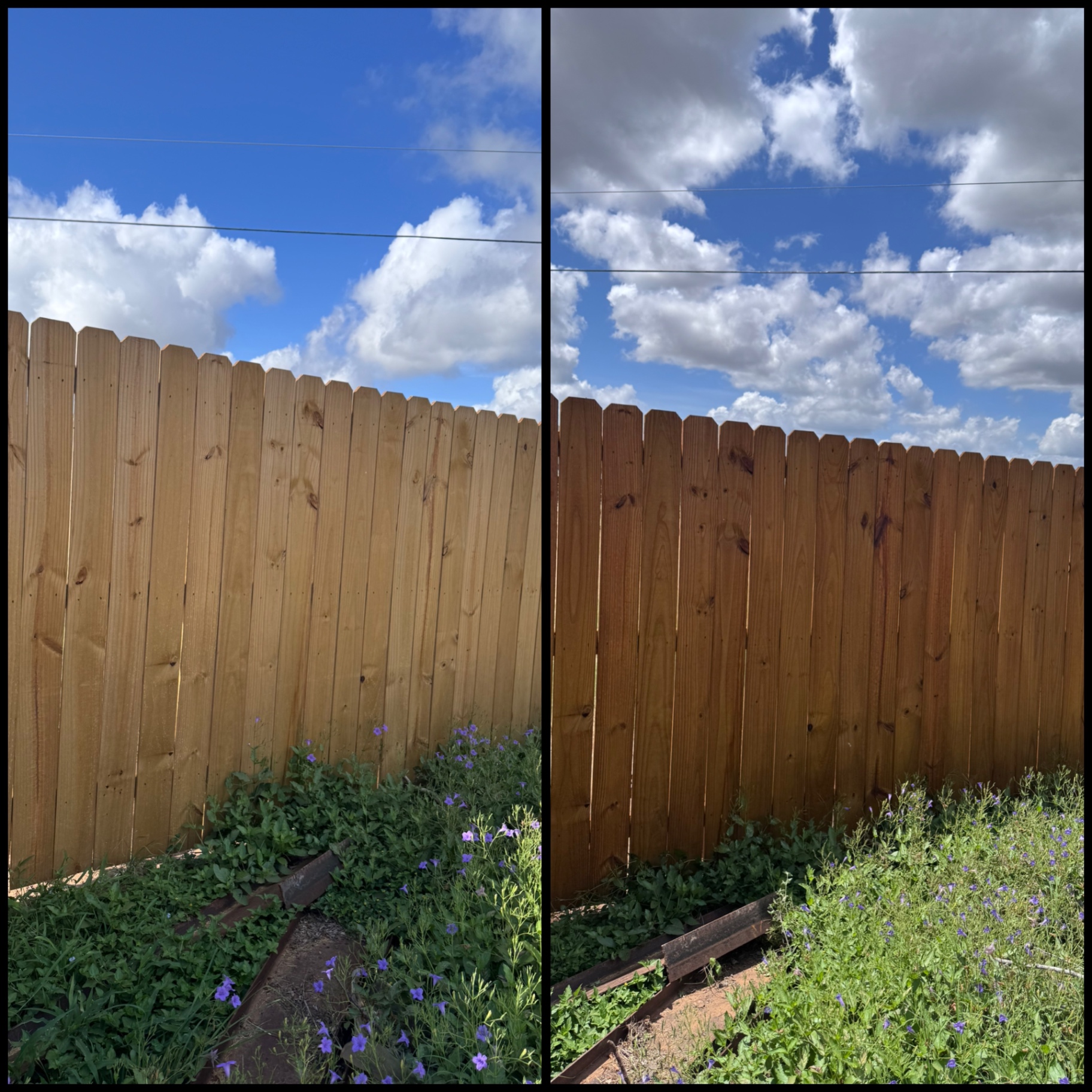 Backyard privacy fence before and after side-by-side cedar stain