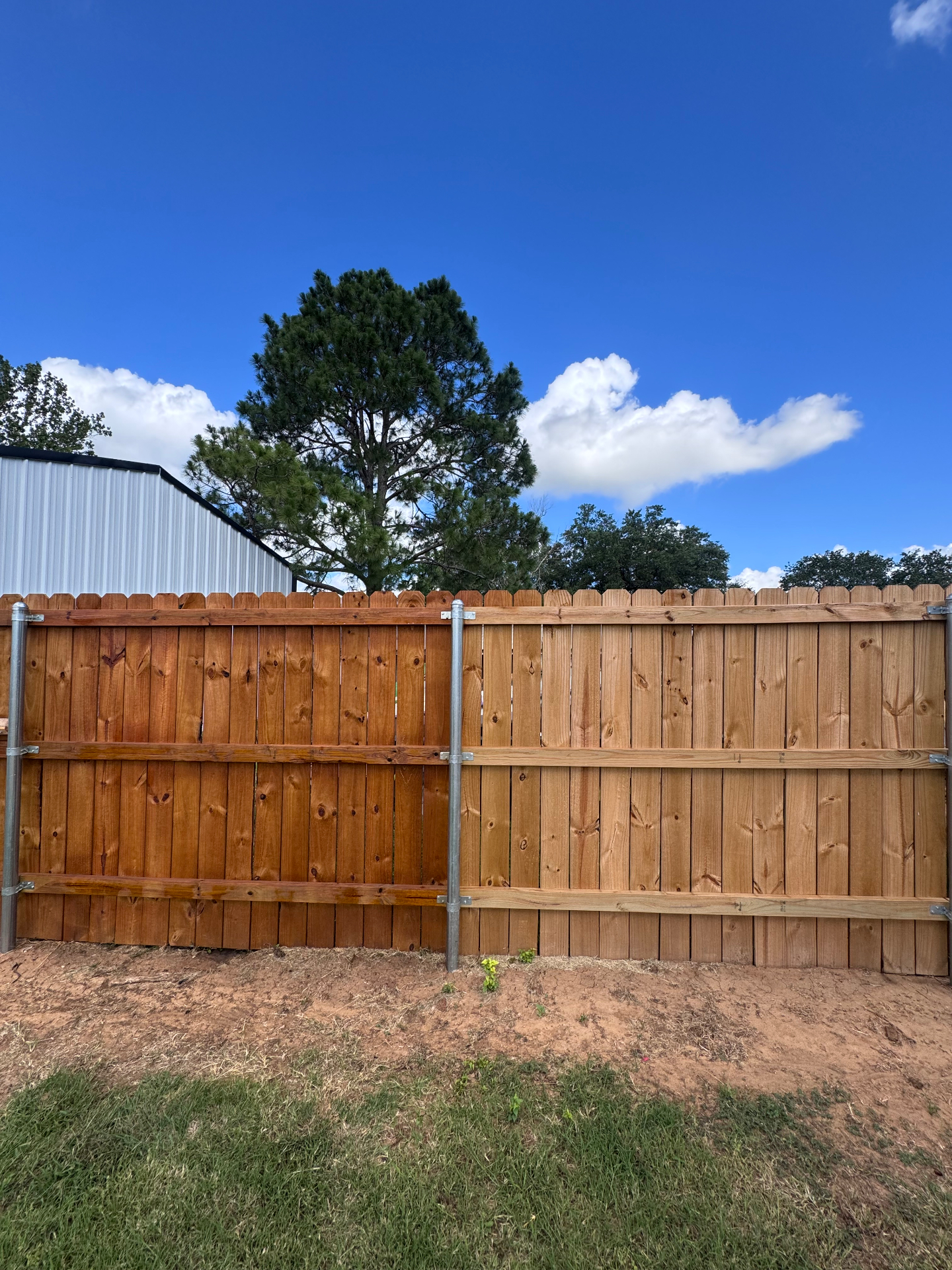 Privacy fence with left half freshly stained cedar and right half raw wood
