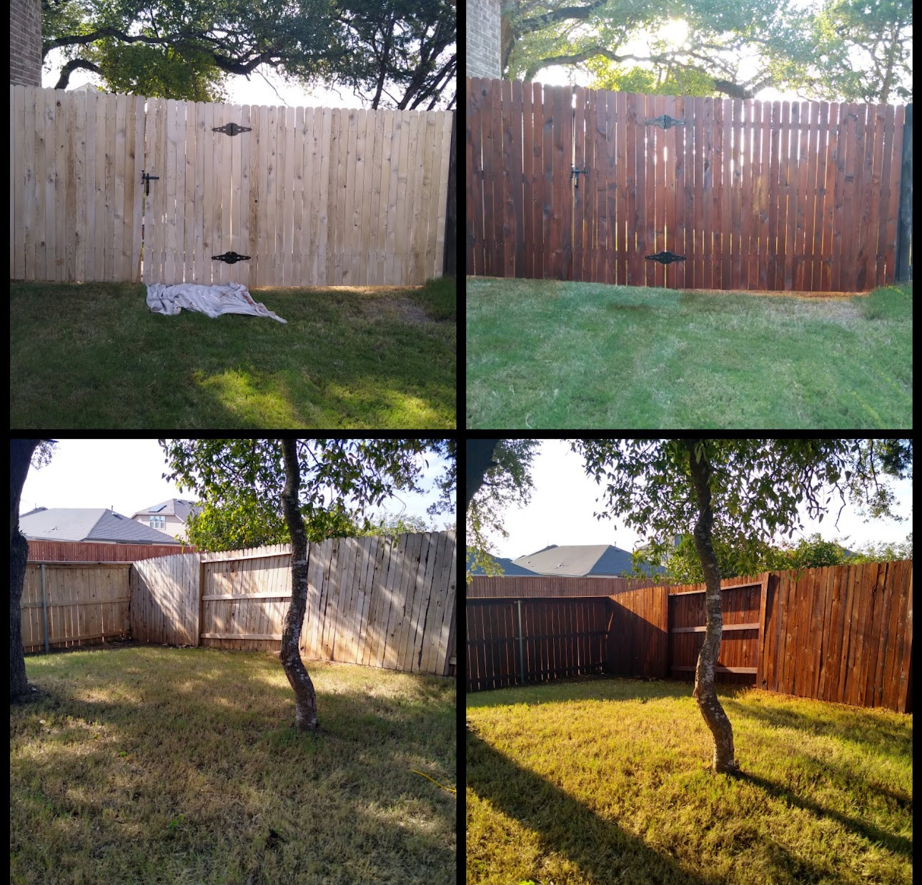 Backyard gate and fence sections before and after deep mahogany stain