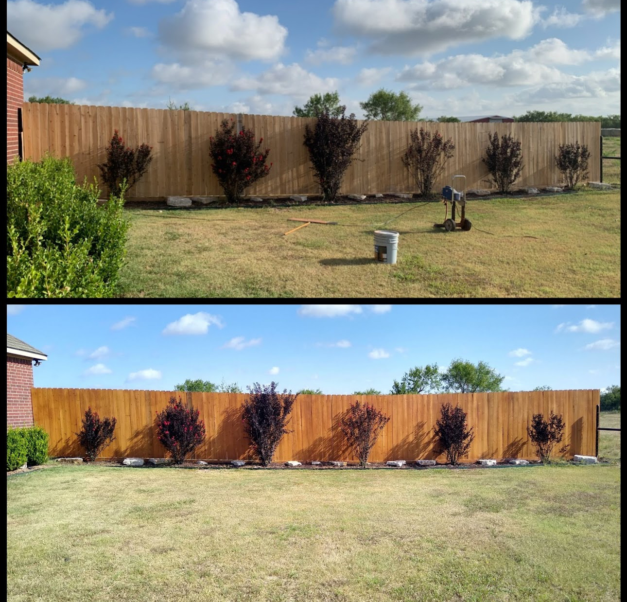 Long backyard fence before and after rich cedar stain